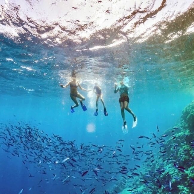 Full-Day-Snorkel-Florida-Havana-Moon-e1594750228819